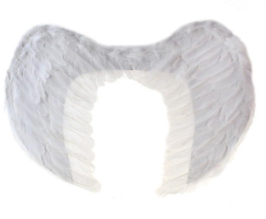 Фото Крылья ангела мини перьевые белые 40х35см - магазин  "Домик Принцессы"